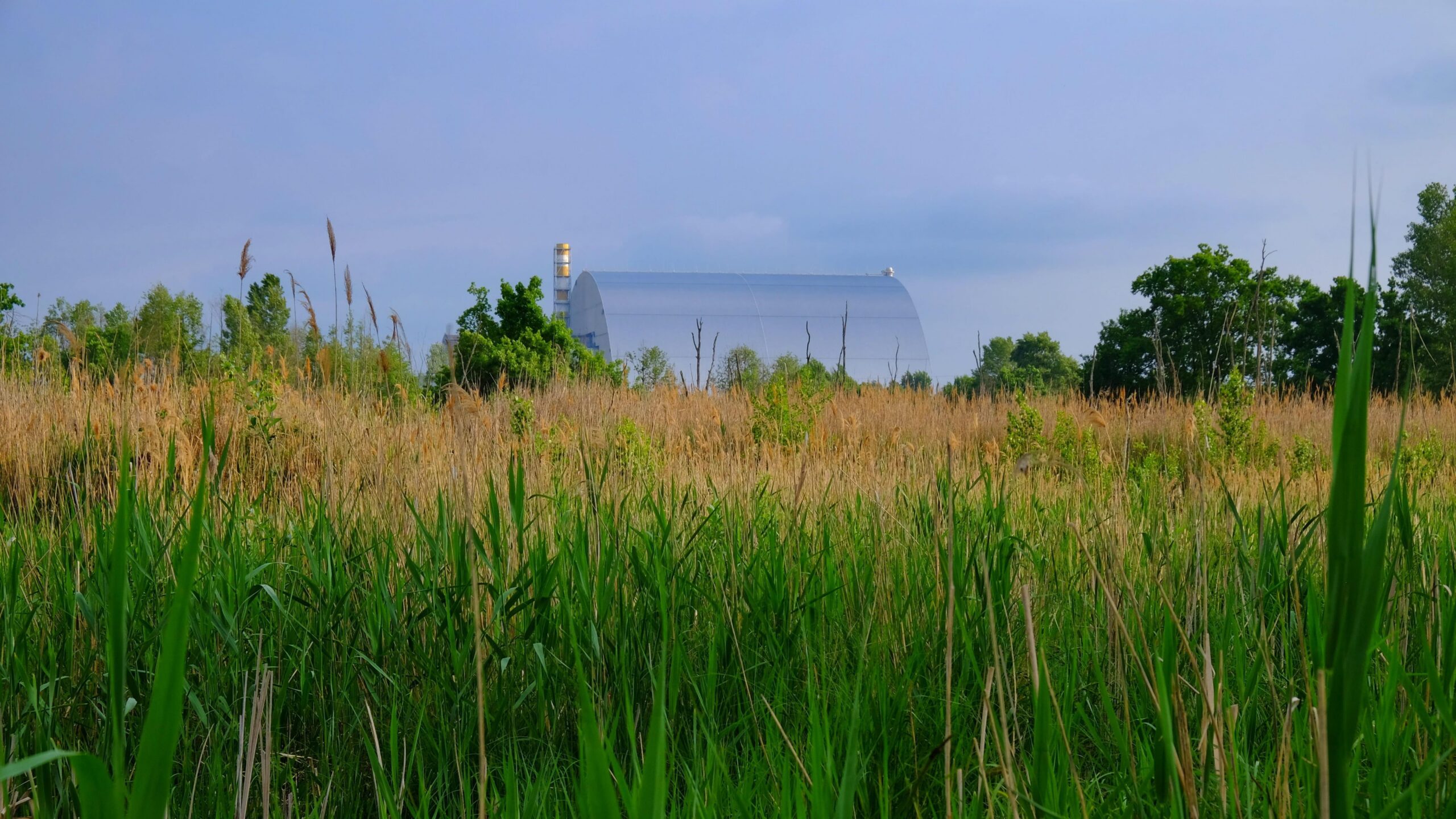 Cómo las zonas prohibidas de Chernóbil y entre las dos Coreas se convirtieron en un santuario de la vida silvestre