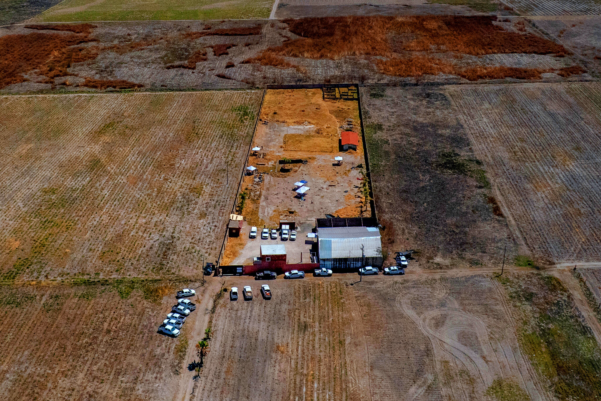 La guerra de Sheinbaum contra el crimen enfrenta un balance sombrío: 133.000 desaparecidos