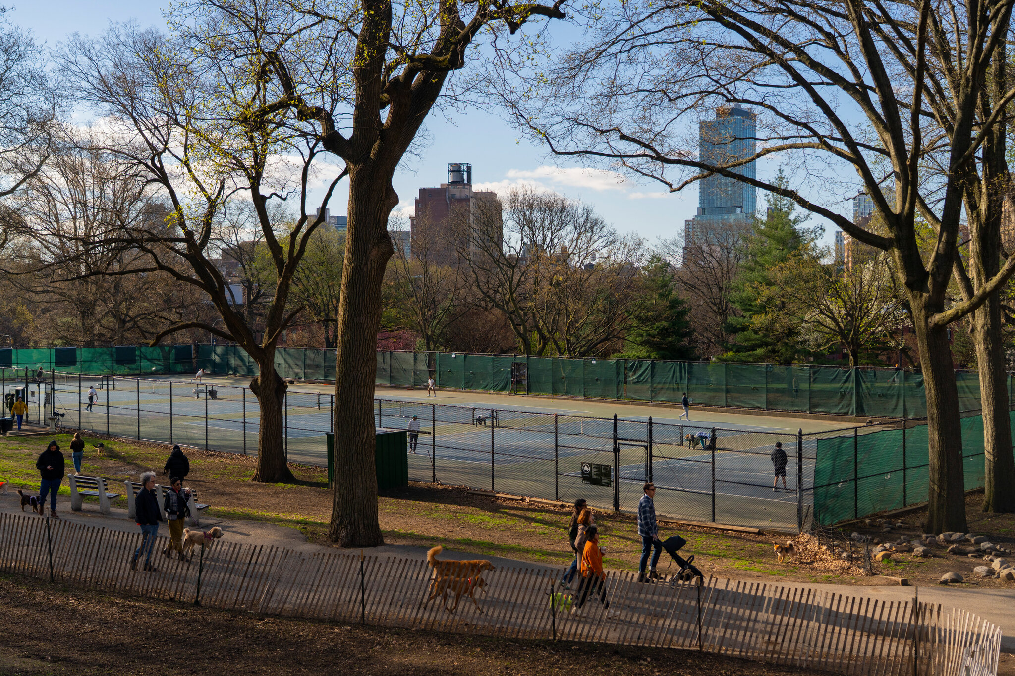 Tenis vs. pickleball. ¿Cuál es mejor ejercicio?