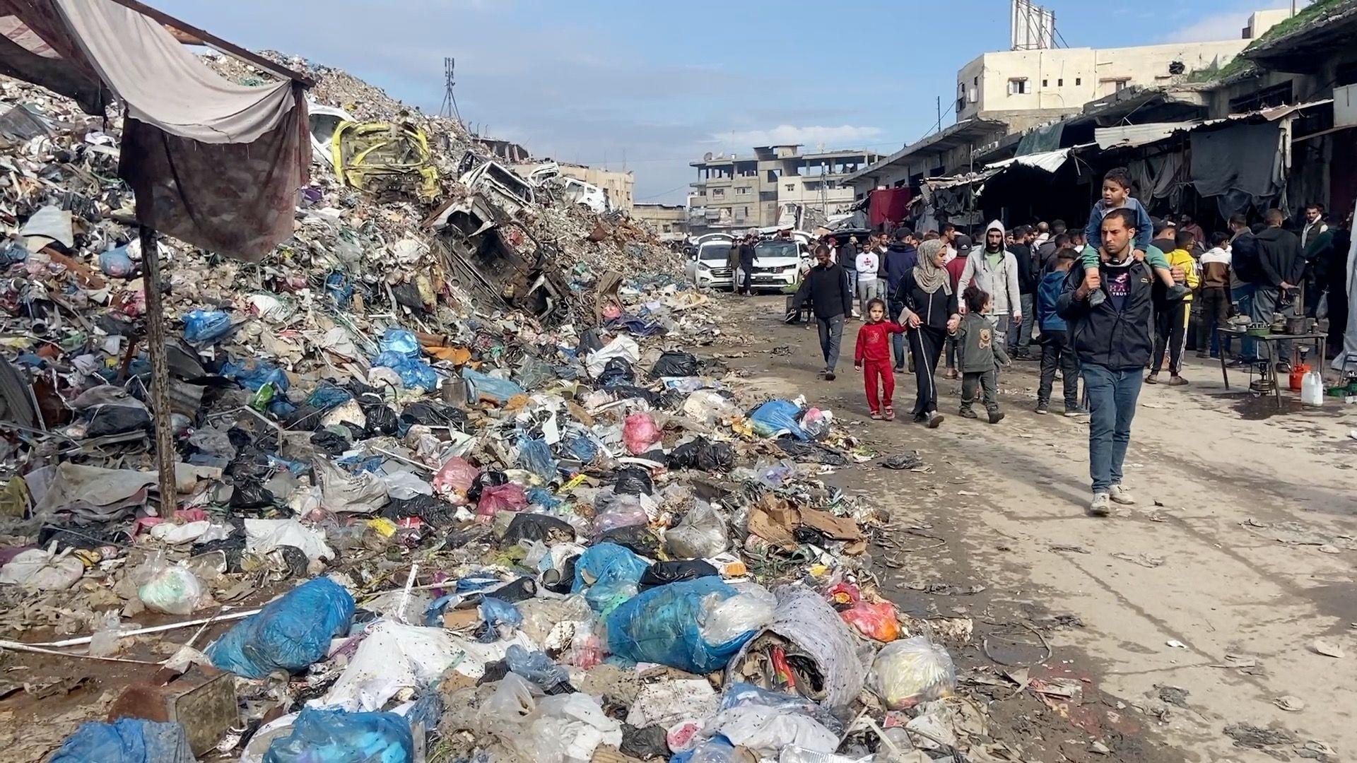 “Las ratas están saliendo de las tiendas”: los campamentos de Gaza invadidos por roedores transmisores de enfermedades