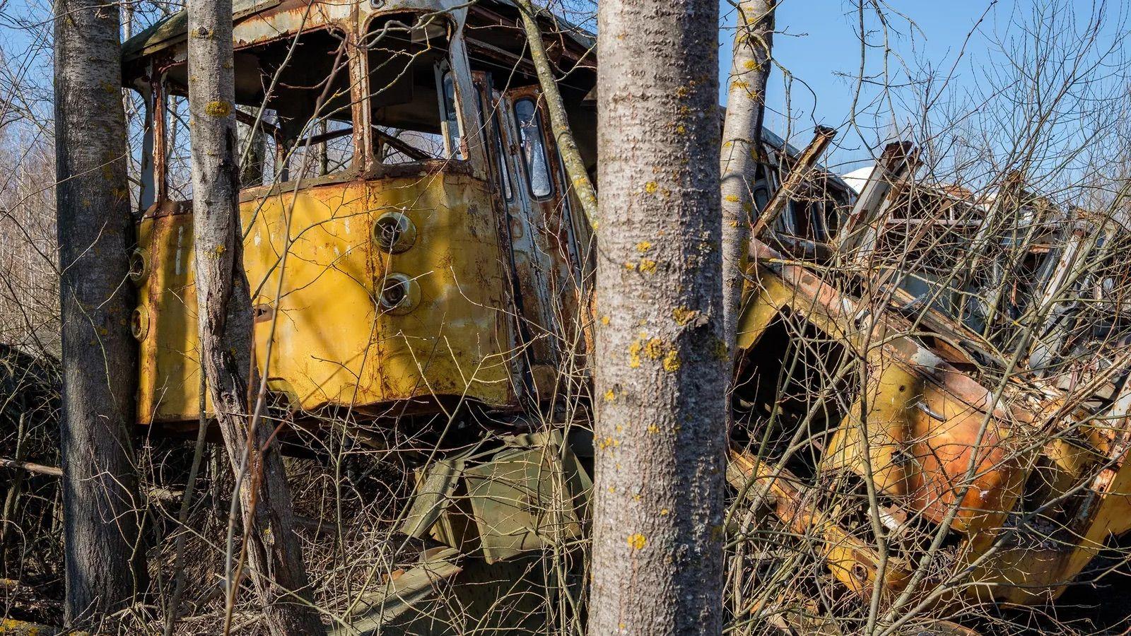 Veh&iacute;culos en un bosque de Chern&oacute;bil. 