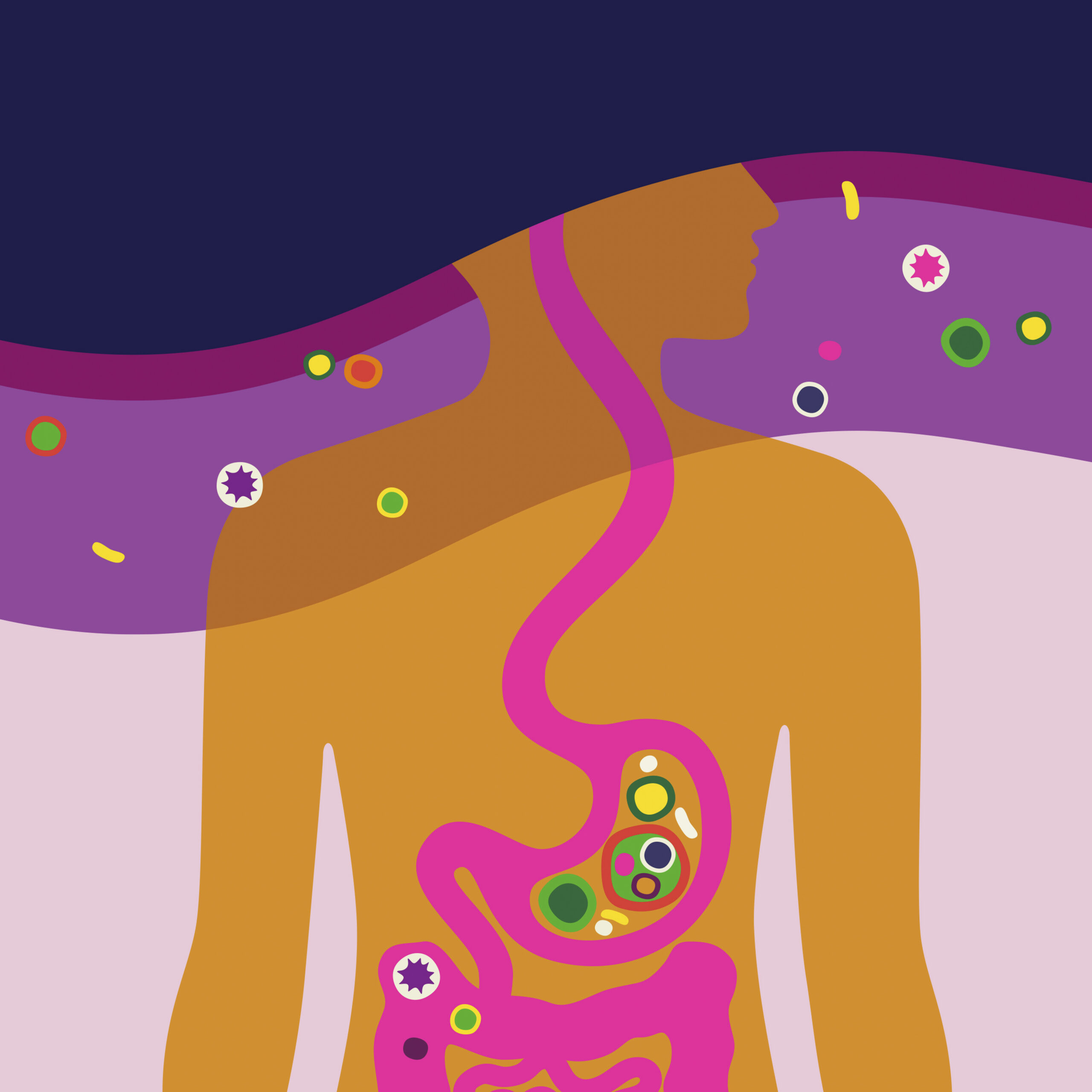 ¿Niebla mental? Podría ser tu intestino