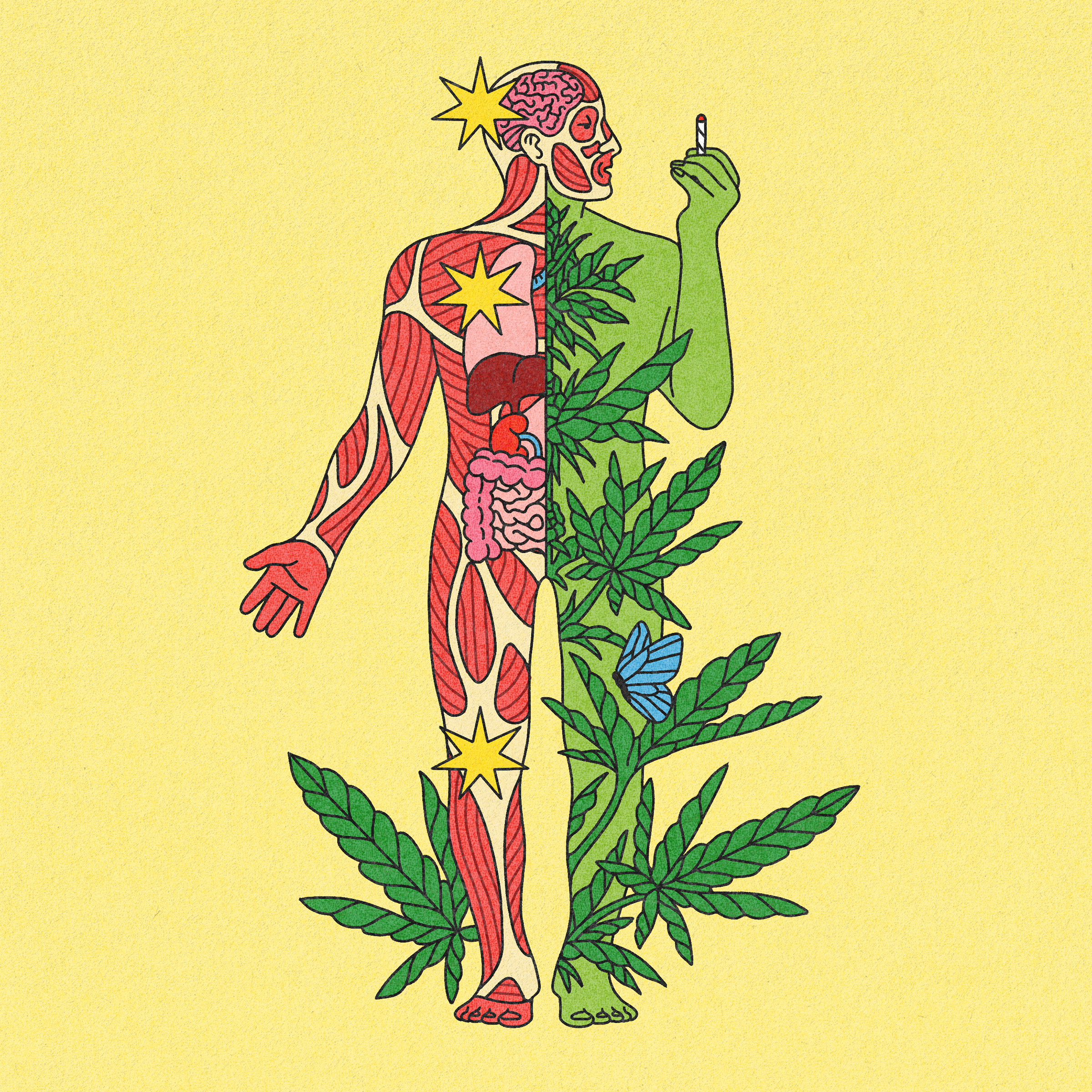 Lo que los médicos quieren que sepas sobre el uso medicinal de la marihuana