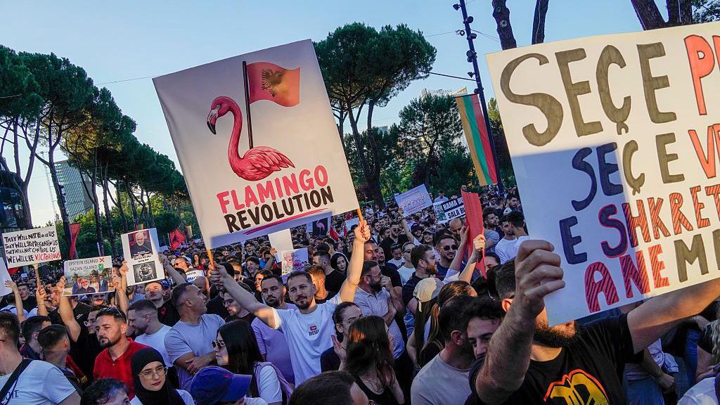 Un hombre sostiene un cartel con un flamengo y la frase "Revoluci&oacute;n del flamenco".