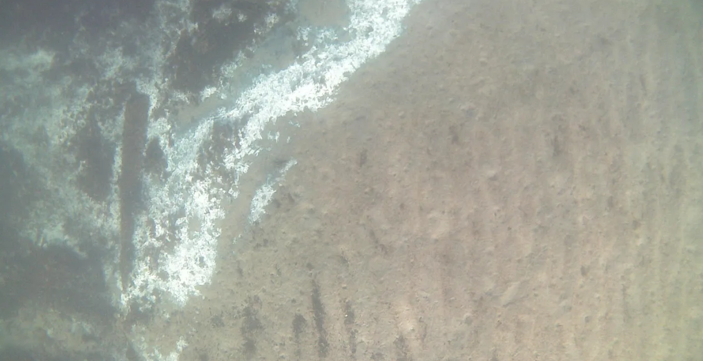 Vista submarina del fondo marino, con sedimentos claros y franjas blanquecinas que sugieren zonas afectadas por la falta de ox&iacute;geno.
