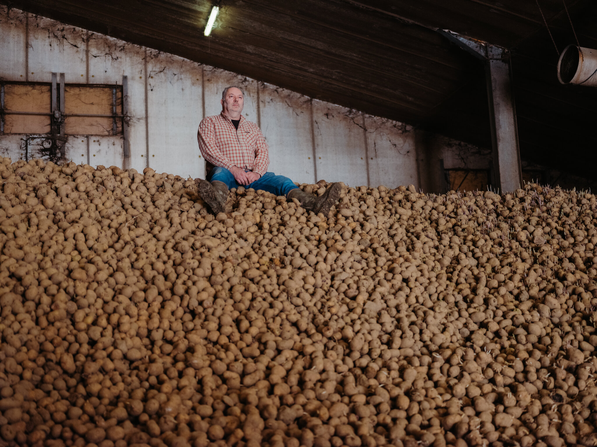 La capital mundial de las papas fritas tiene un problema: demasiadas papas