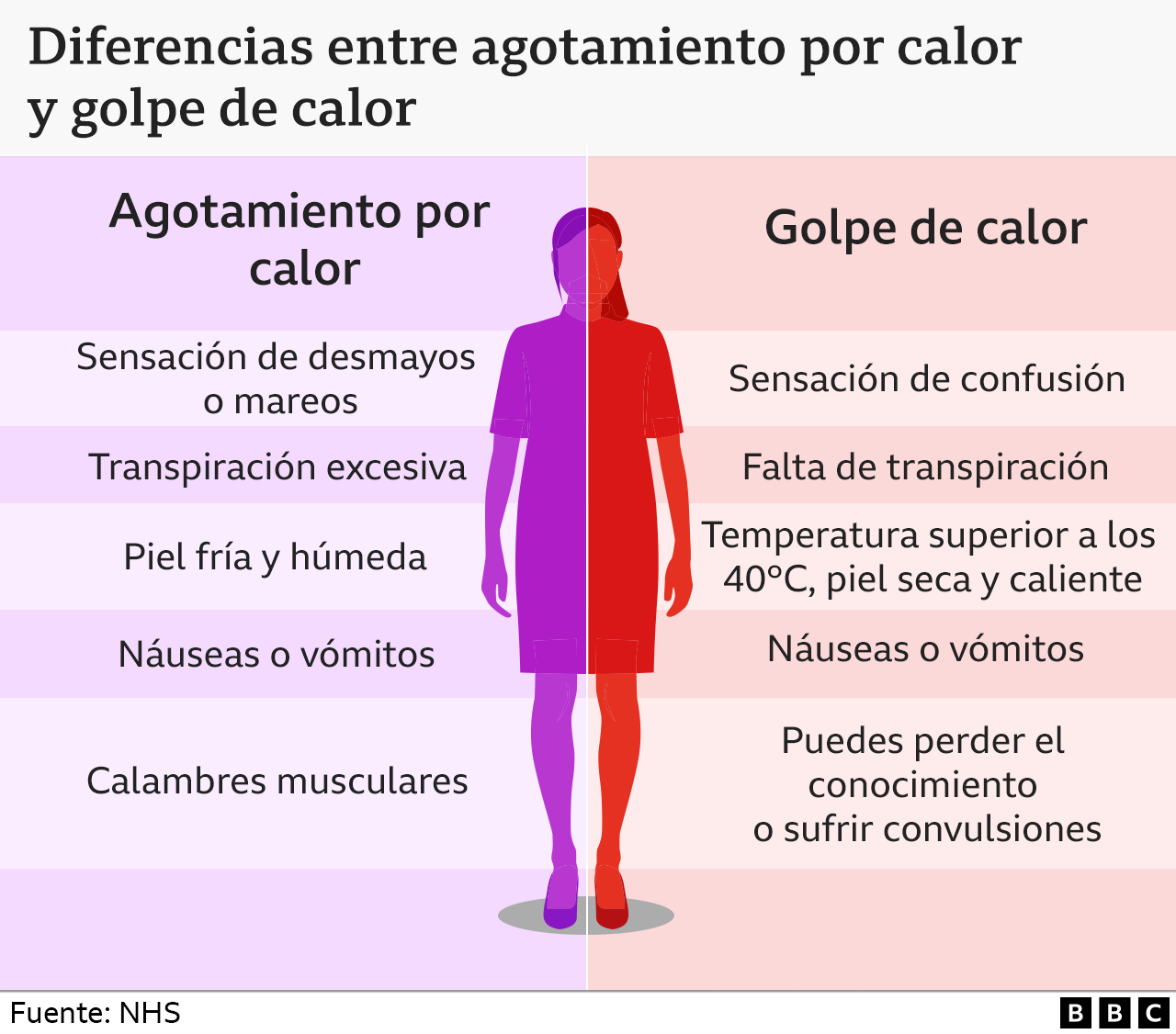 gr&aacute;fico