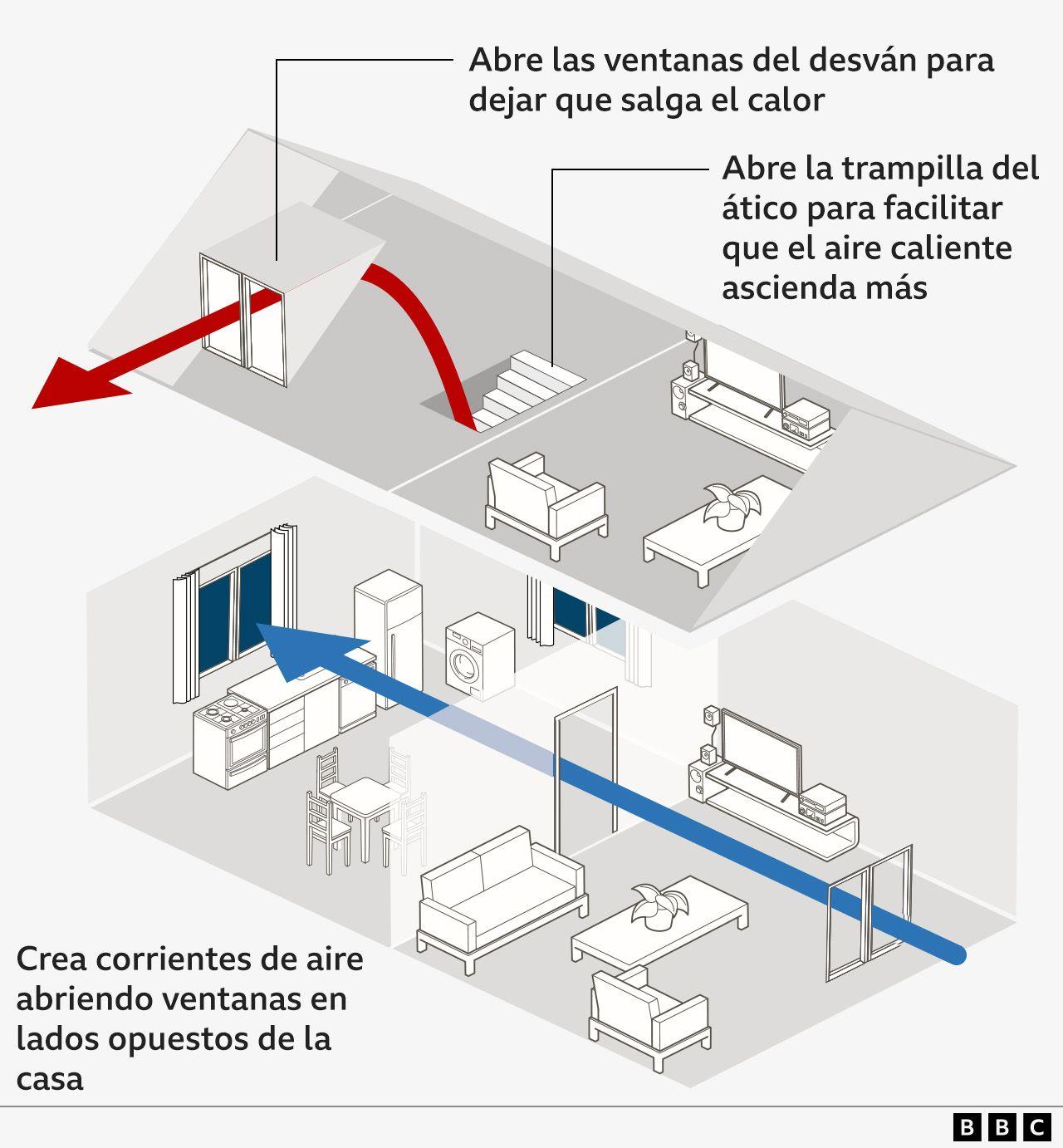 gr&aacute;fico