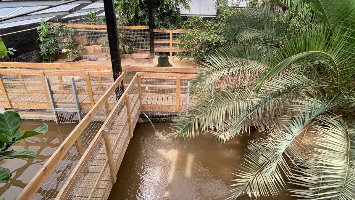 El interior de un recinto para cocodrilos de un zool&oacute;gico. Hay estanques para los animales, as&iacute; como follaje y plantas. Hay una pasarela que atraviesa el centro del recinto bordeada de vallas. 