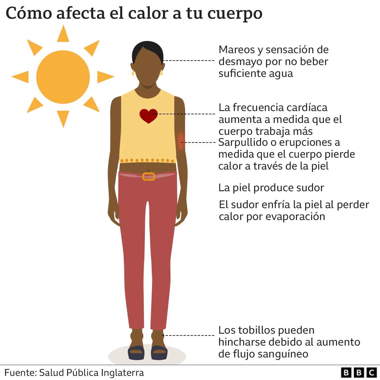 Gr&aacute;fico 