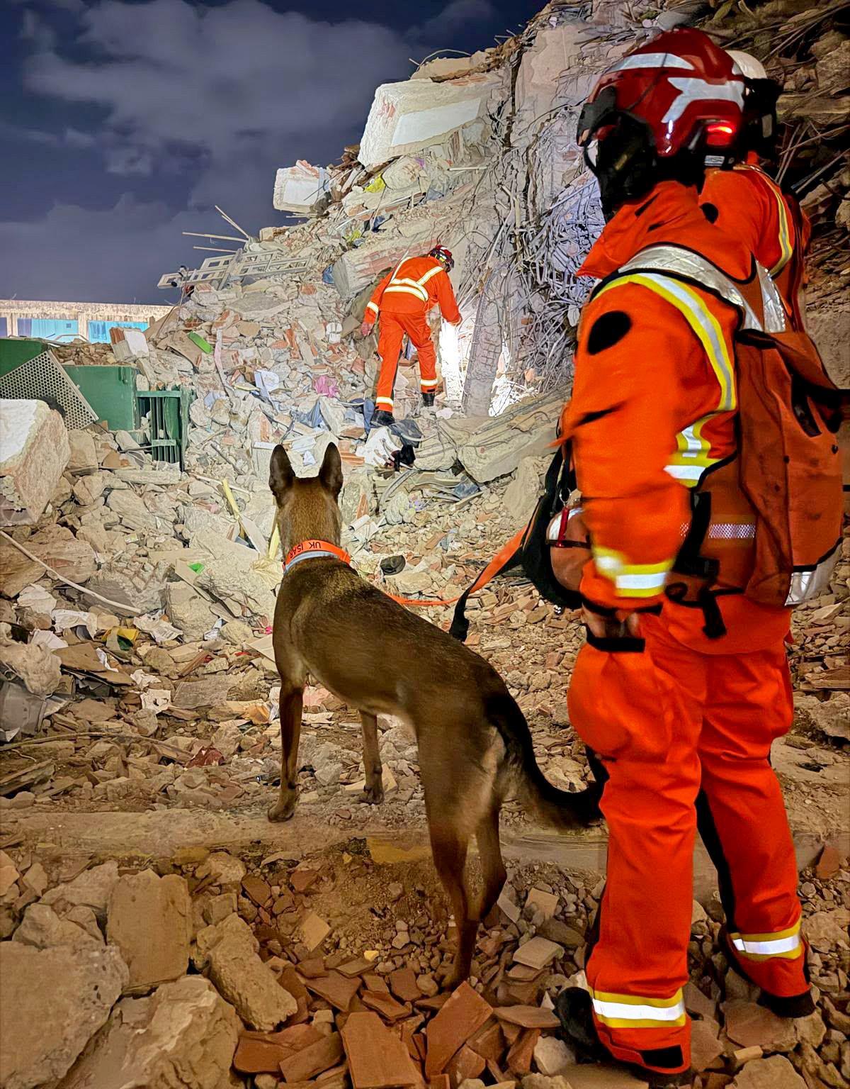 Una persona vestida de pies a cabeza con ropa naranja de alta visibilidad sostiene a un perro con una correa mientras busca sobrevivientes en una zona cubierta de escombros en La Guaira, Venezuela.