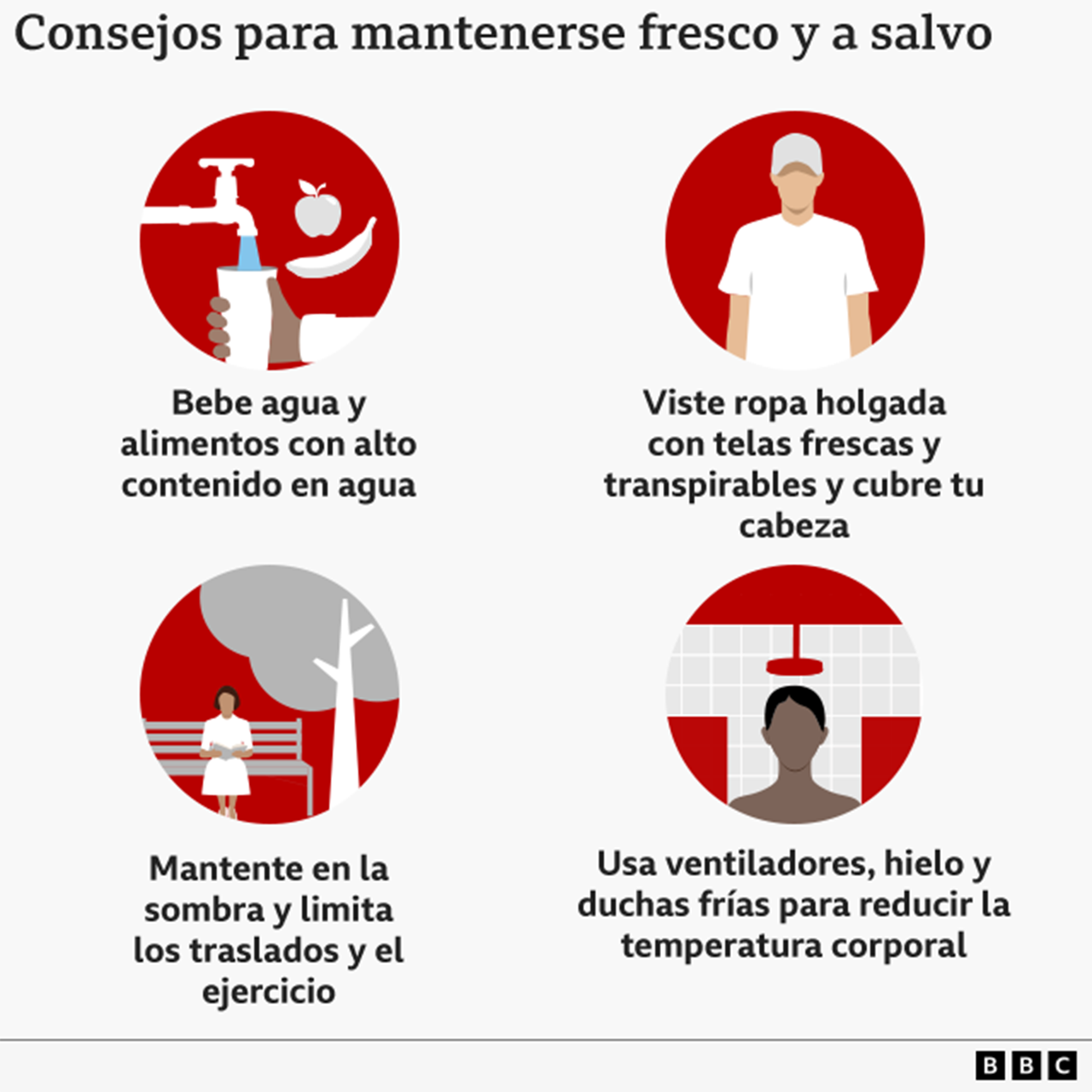 gr&aacute;fico
