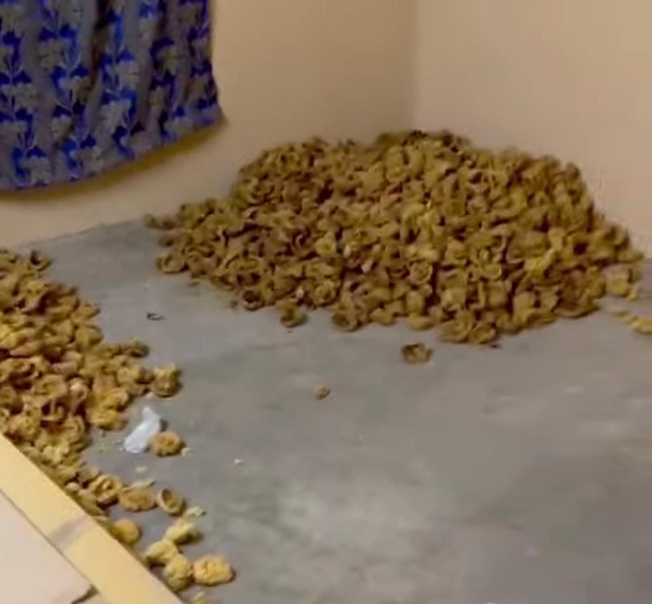 Una fotografía compartida por la Agencia Federal de Investigación de Pakistán muestra placentas apiladas en la esquina de una habitación.