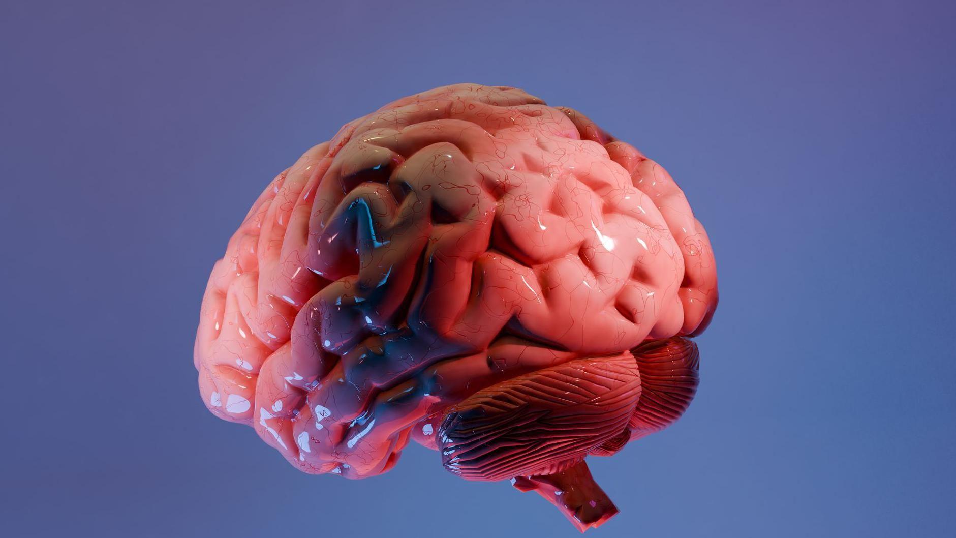 Una ilustraci&oacute;n rosa en 3D de un cerebro humano ba&ntilde;ado en luz azul y blanca est&aacute; ambientada sobre un fondo azul
