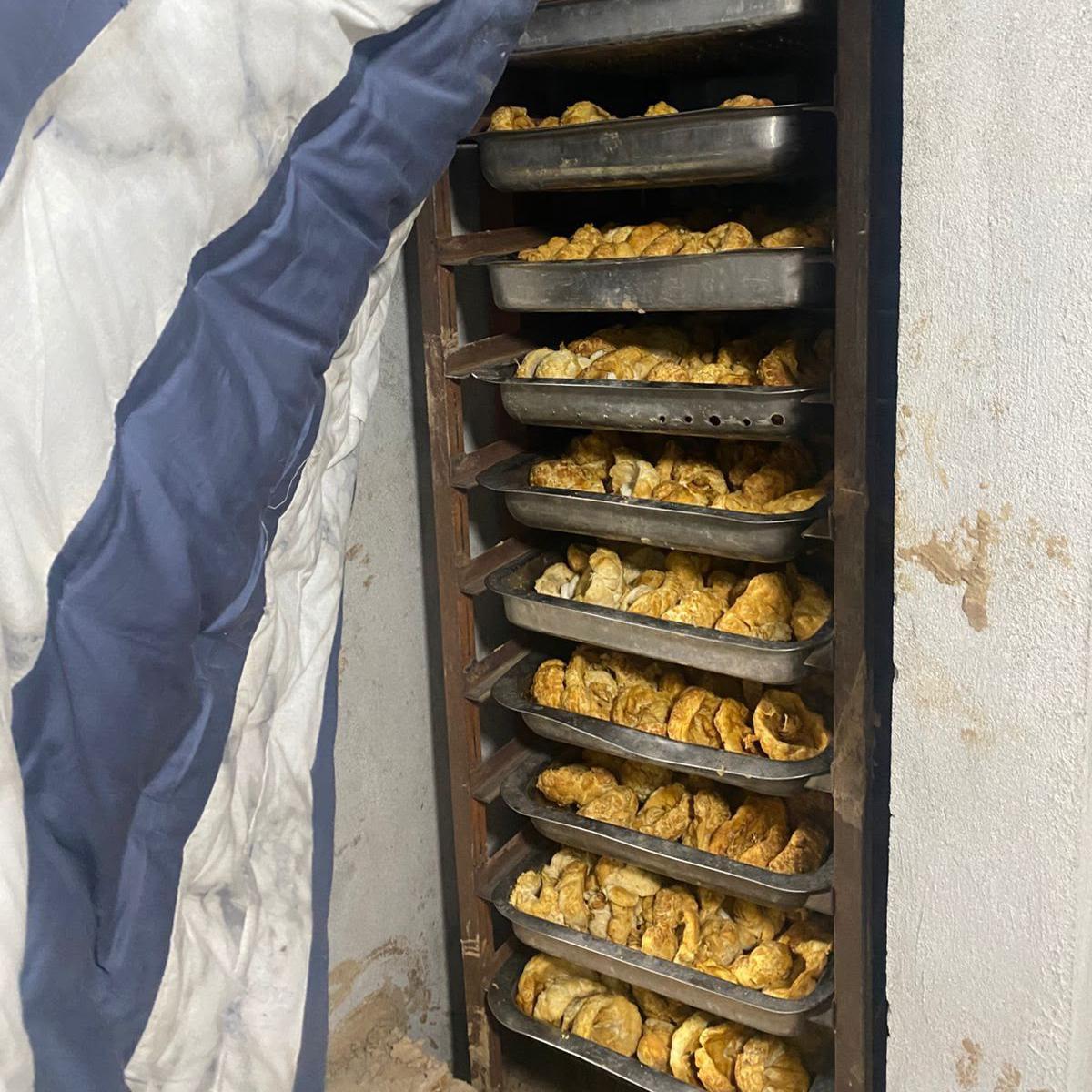 Una fotografía compartida por la Agencia Federal de Investigación de Pakistán muestra bandejas de placentas desecadas dispuestas en carritos con ruedas.