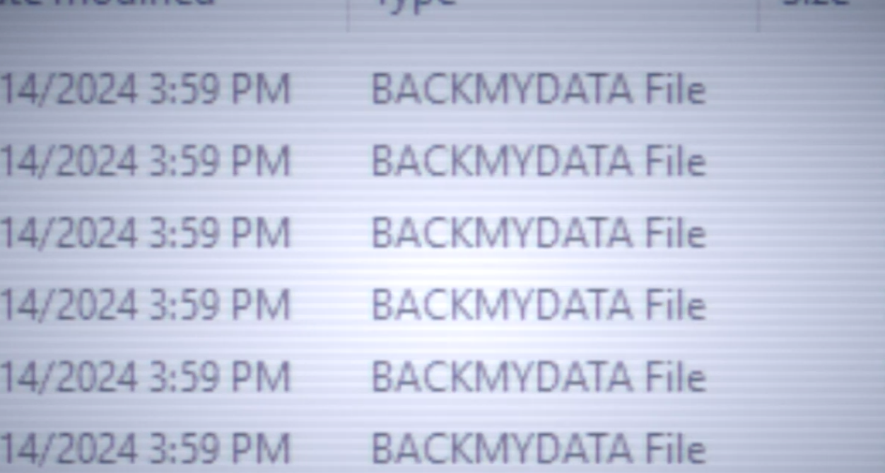 Una captura de pantalla de muchos archivos de computadora con BACKMYDATA como nombre de archivo.