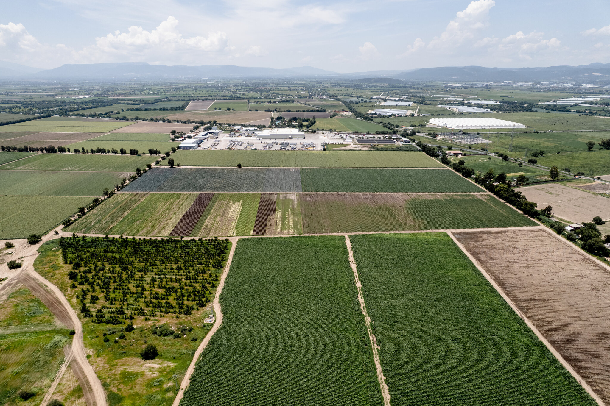 ¿Aquí comenzó el brote de ‘Cyclospora’? Una región de México espera la respuesta