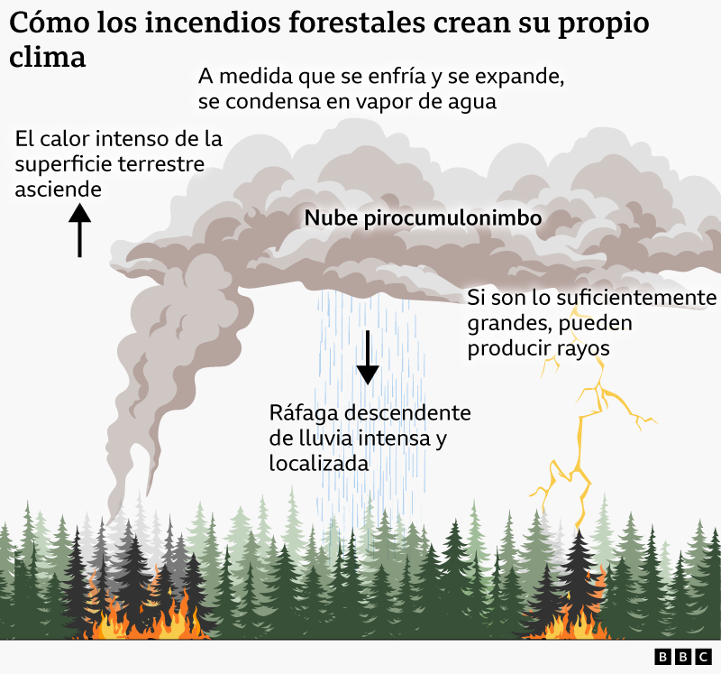 Infografía que se titula Cómo los incendios forestales crean su propio clima