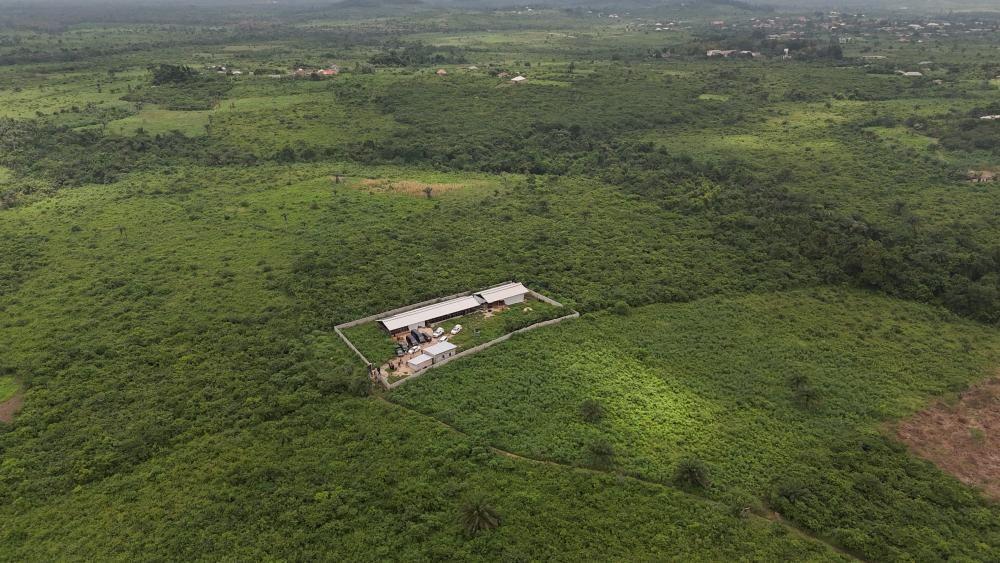 Una toma aérea que muestra una extensa zona de bosque verde con un conjunto de edificios en el centro, rodeado por un muro.