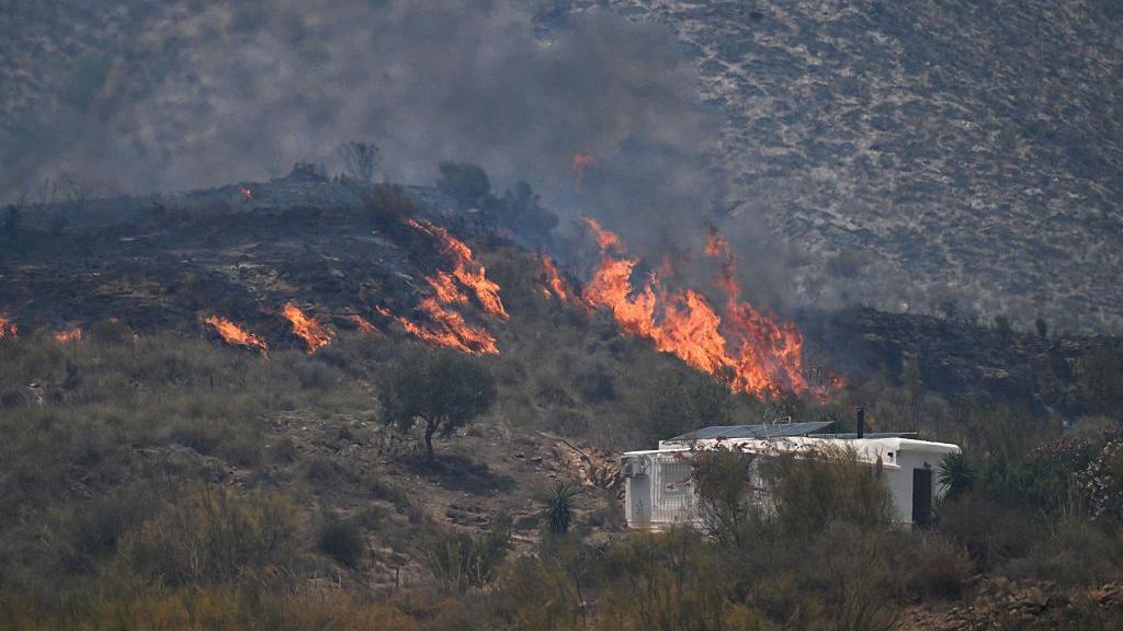 Una imagen tomada el 10 de julio de 2026 muestra llamas en una colina junto a una casa, en la zona de un incendio forestal que caus&oacute; la muerte de 11 personas cerca de B&eacute;dar, en el municipio de Los Gallardos (provincia de Almer&iacute;a).