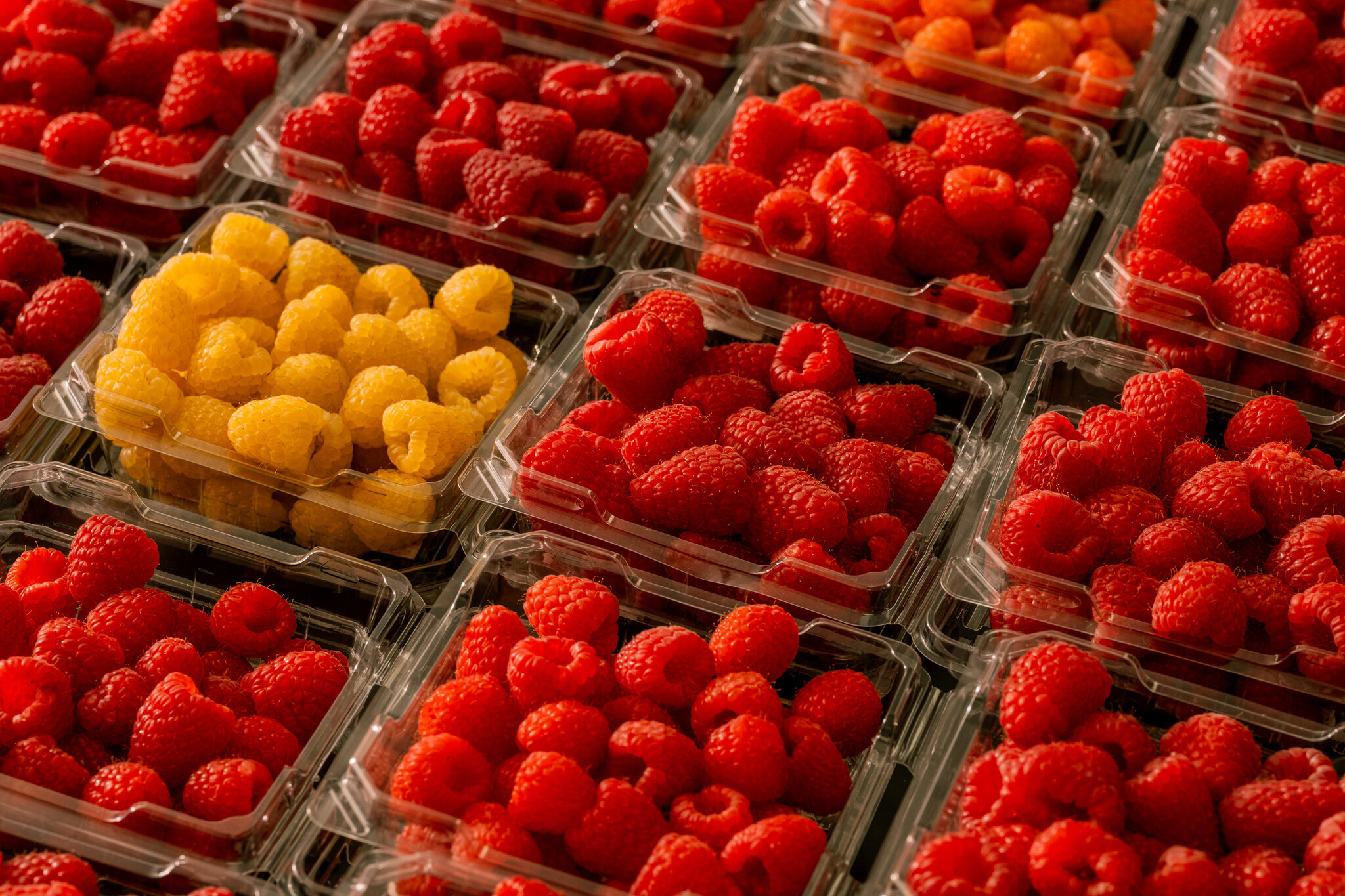 Frutos rojos todo el año: es obra de Driscoll’s