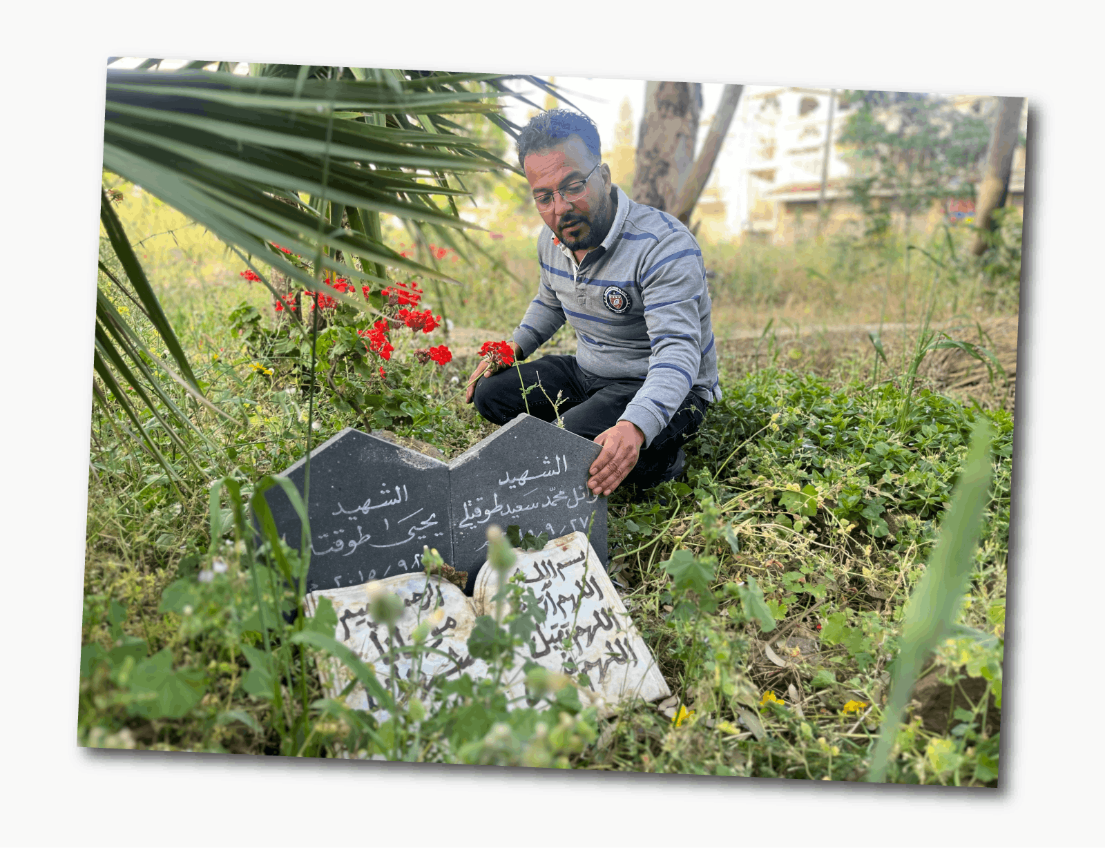 Mohammed viste una camiseta gris a rayas con cuello y se arrodilla junto a una tumba blanca y negra con una inscripción en árabe. Junto a ella hay flores rojas plantadas.