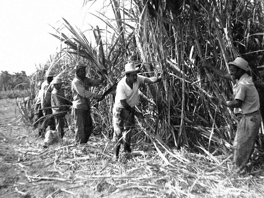 Por qué Cuba no produce suficiente comida y depende del exterior para alimentar a su población