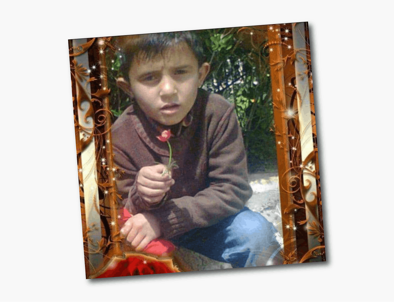 Una foto de Wael, de siete años, con un jersey marrón y vaqueros azules, sosteniendo una flor roja. 