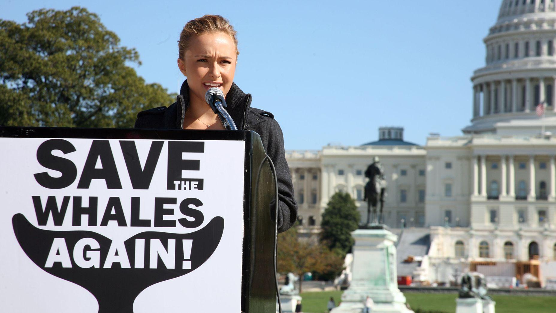 Hayden Panettiere interviene en una rueda de prensa para la campaña "Salvemos a las ballenas de nuevo" el 26 de octubre de 2008 en Washington, D.C.