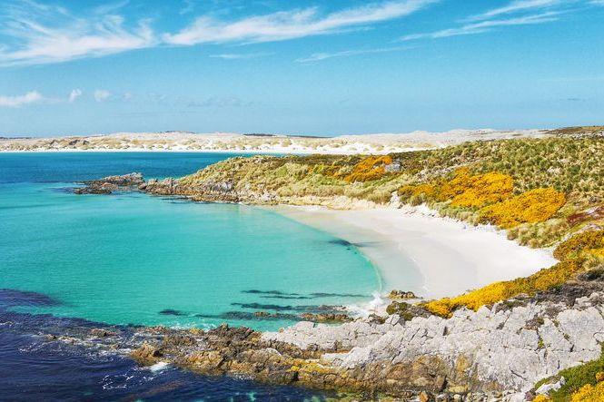 Playa de arena blanca Gypsy Cove, en la Isla de las Malvinas Oriental. 