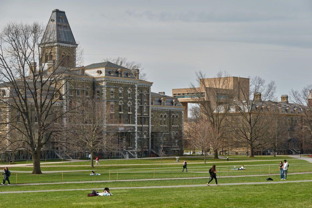 Estudiantes en un jardín de la Universidad de Cornell