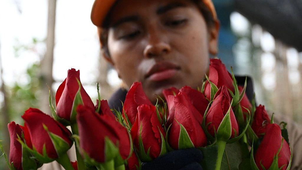 Una florista maneja rosas en Bogotá, Colombia, en una fotografía tomada en febrero de 2026.