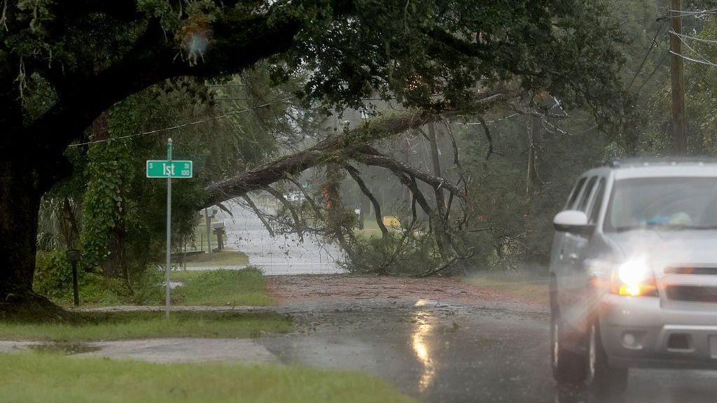 Un árbol caído bloquea una calle mientras el viento y la lluvia del huracán Isaías se acercan a la zona el 09 de octubre de 2026, en Pensacola, Florida. (Foto: Joe Raedle/Getty Images)
