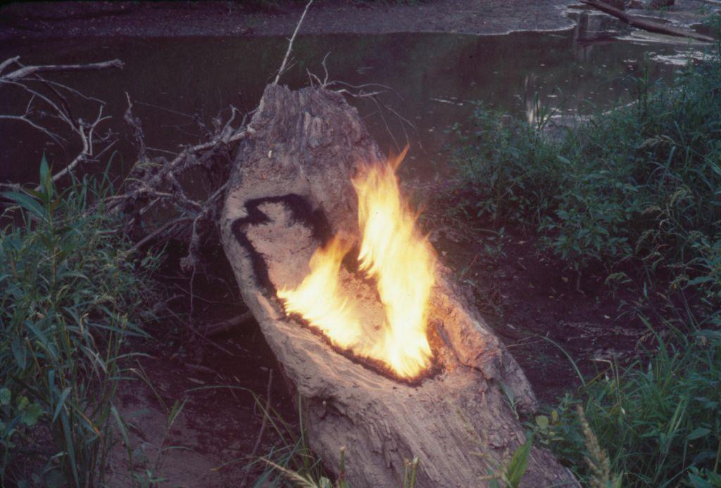 Una silueta negra en un tronco caído entre vegetación, que se ha marcado con fuego: aún se ve ese fuego en la mitad del cuerpo.