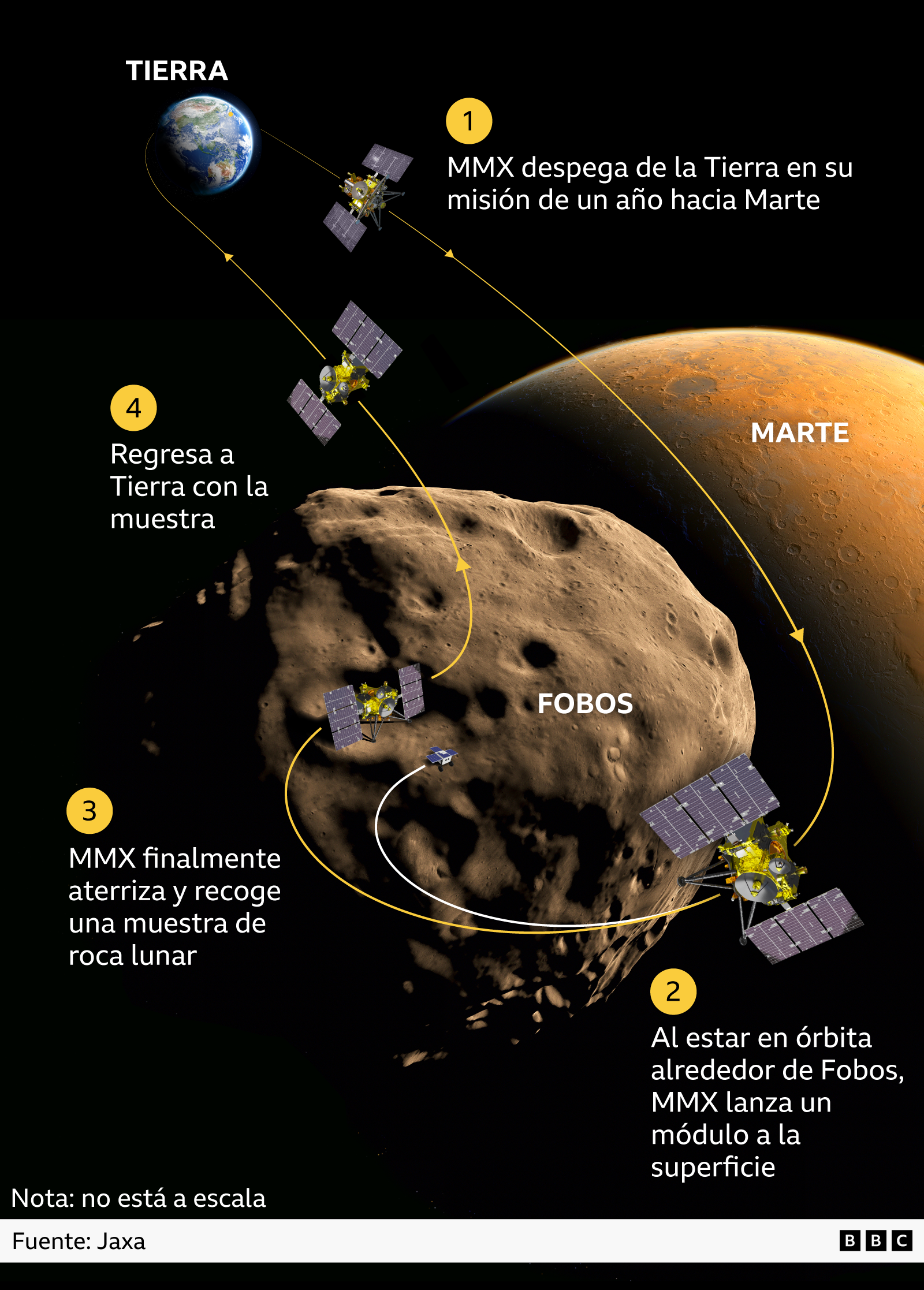 Esta infografía muestra la nave espacial MMX viajando desde la Tierra hasta Fobos, la luna de Marte. Consta de cuatro etapas numeradas. Etapa 1: La nave espacial abandona la Tierra. Etapa 2: La nave espacial entra en órbita alrededor de Fobos y aterriza un módulo. Etapa 3: La nave espacial aterriza para recolectar una muestra de roca lunar. Etapa 4: La nave espacial regresa la muestra a la Tierra. Las flechas amarillas muestran la ruta de ida y vuelta entre la Tierra y Marte