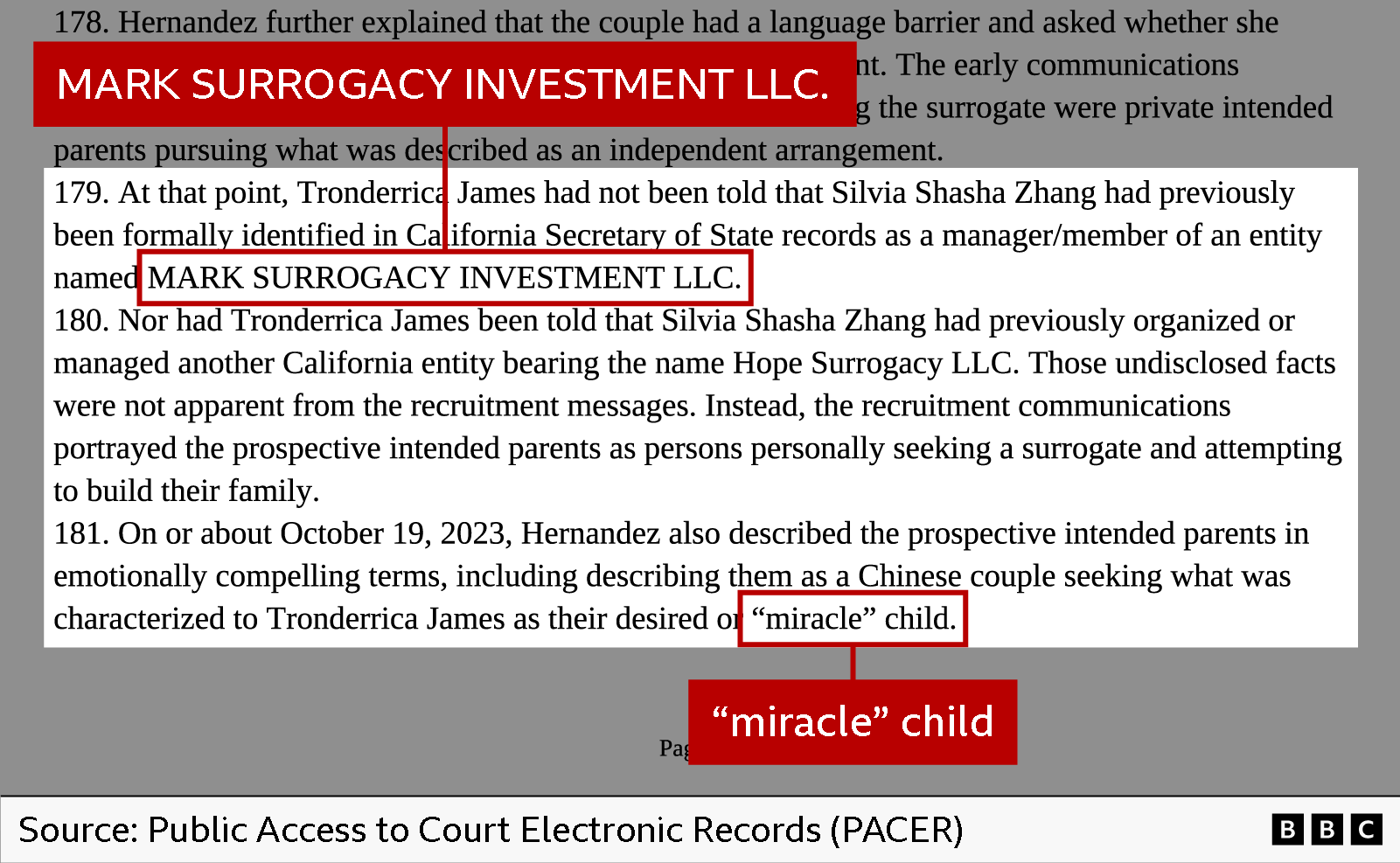 Un extracto de una sentencia judicial con las palabras “Mark Surrogacy Investment LLC” y “niño 'milagro'” resaltadas en rojo.