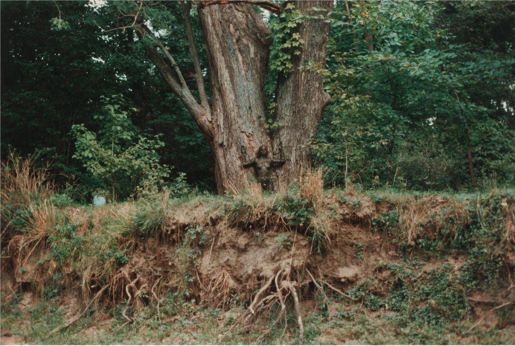Fotografía a color en la que se ve un árbol en un bosque y cuando te fijas bien, está la artista recostada en el tronco, de pie, con las manos alzadas, cubierta de barro marrón. 